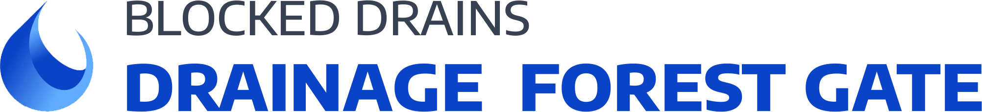 website logo